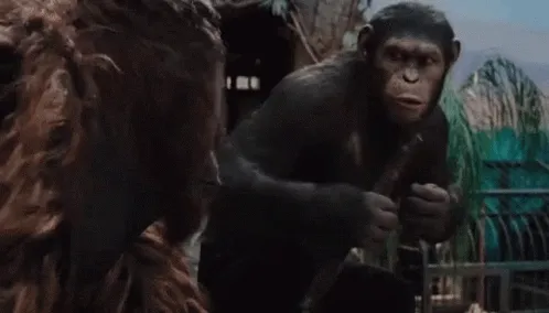 apes-together-strong-0p1sf.gif