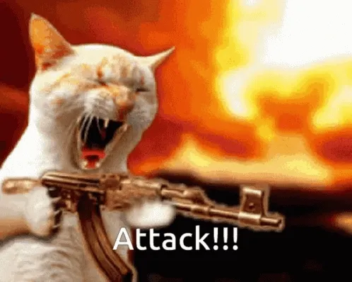 cat-gun.gif